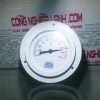 Đồng hồ đo nhiệt độ Leitenberger 1100K3W1M550