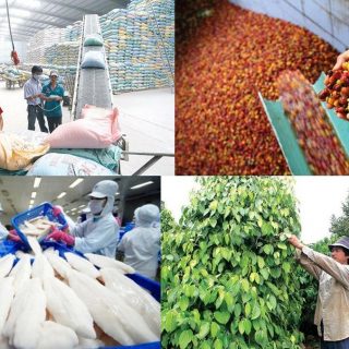 Các bộ, cơ quan liên quan hướng dẫn, hỗ trợ các địa phương, doanh nghiệp nhanh chóng khôi phục chuỗi cung ứng xuất khẩu nông, lâm, thủy sản.