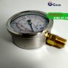 Đồng hồ áp suất Gesa M0301 Φ63R-10bar
